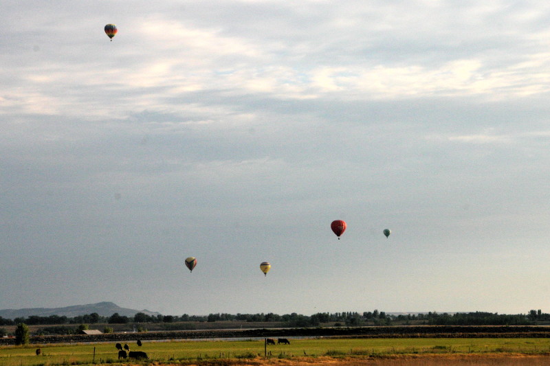 img_1130.jpg
