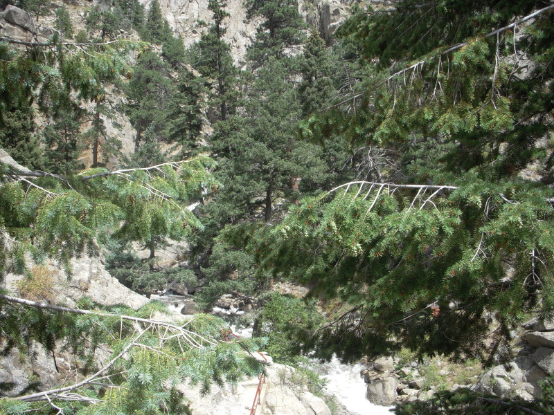 dscn0394.jpg