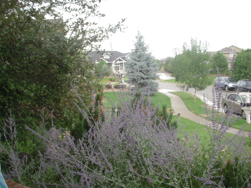 dscn0482.jpg