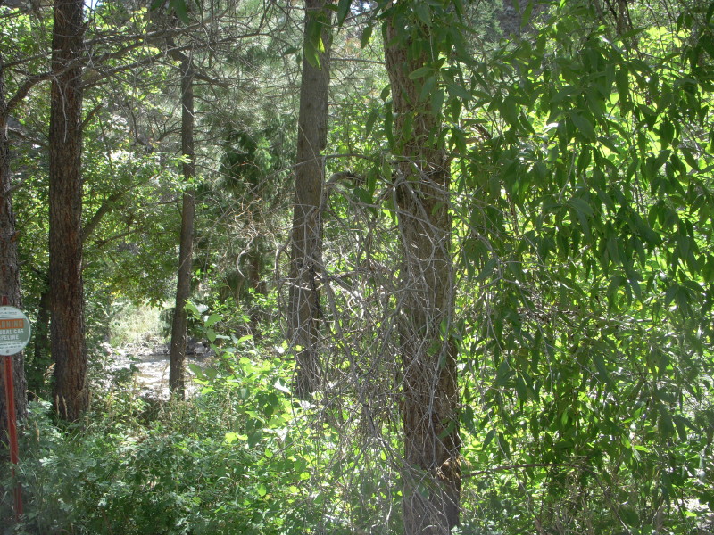 dscn0660.jpg